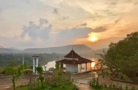 pulse test 2 after WP and plugin update