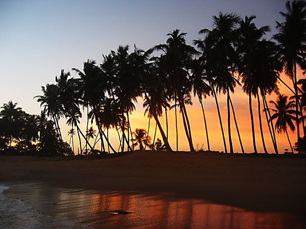 10 Perfect Villas to Rent in Sri Lanka