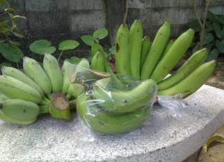 bananas