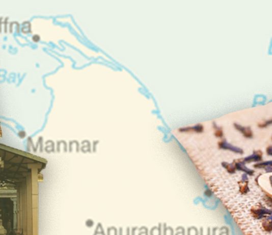 World’s Oldest Clove found in Sri Lanka tells a tale of Medieval Mantai